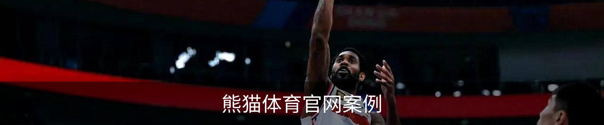 熊猫体育官网案例